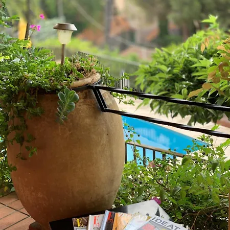 Couette-café Les Dauphins Le Lavandou