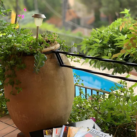 Couette-café Les Dauphins