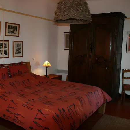 Les Dauphins Le Lavandou