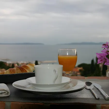 Les Dauphins Le Lavandou