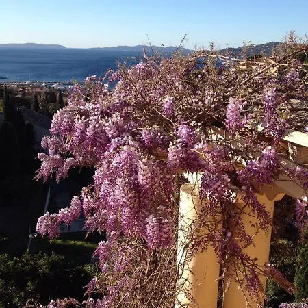 Les Dauphins 3* Le Lavandou