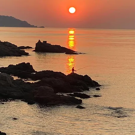 Oda ve Kahvaltı Les Dauphins Le Lavandou