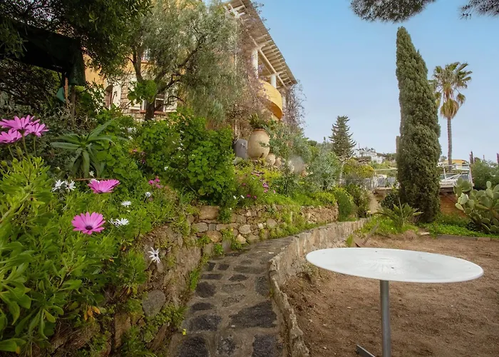 Les Dauphins Bed & Breakfast