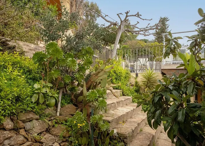 Les Dauphins Bed & Breakfast 4*