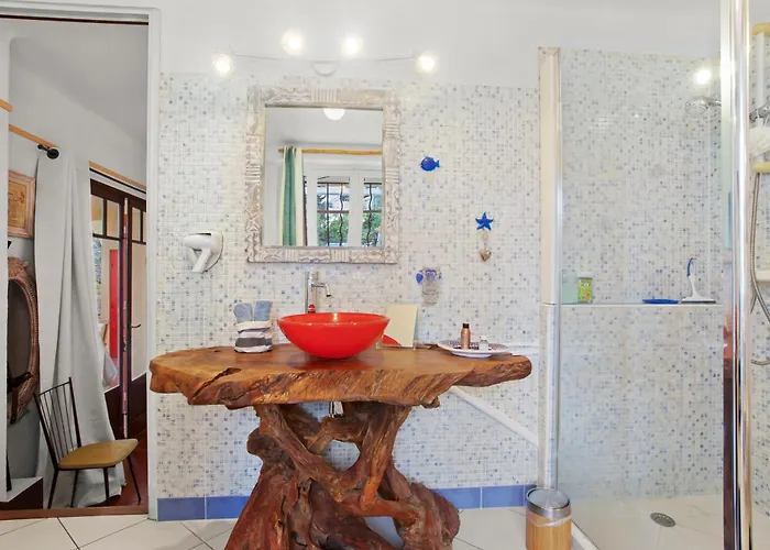 Les Dauphins Le Lavandou